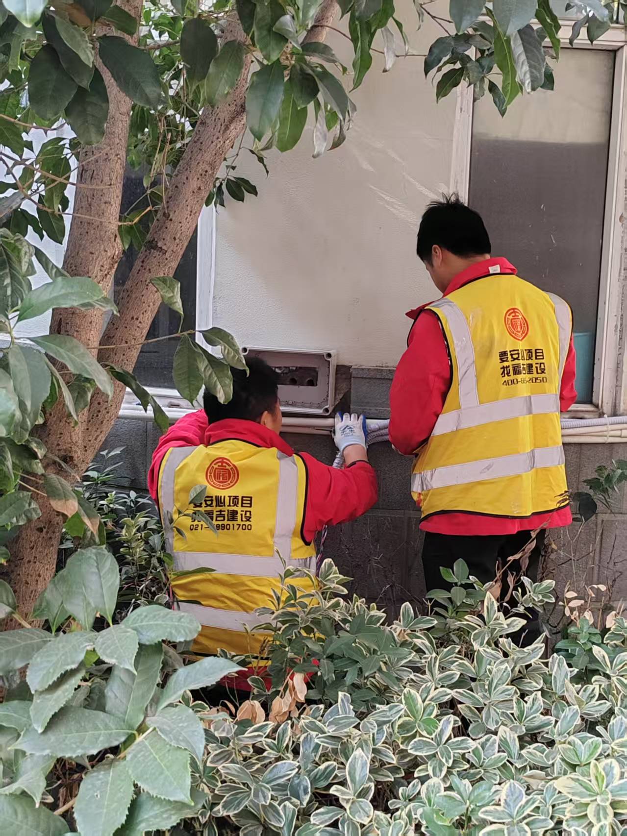 数据运维